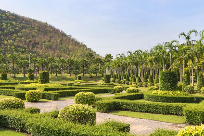 Completed Landscaping with Trimmed Trees